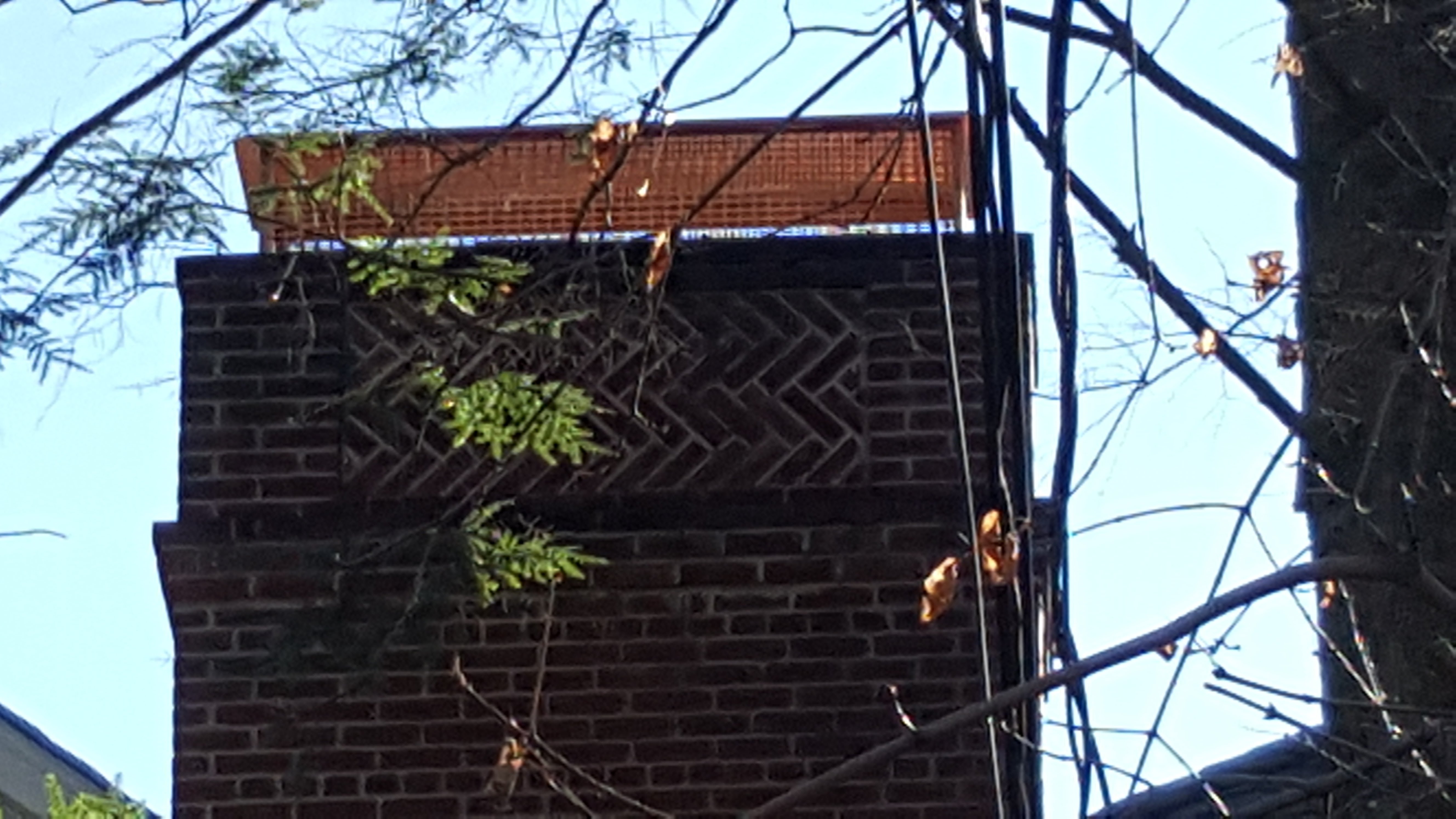 Animal-proof chimney cap protecting home in East Islip, New York